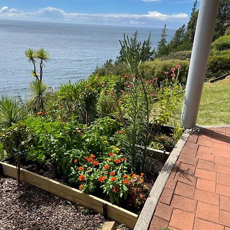 Oceana Heights Paradise - Beautiful 2 Bdrm Self Contained Apartment Tairua Esterno foto
