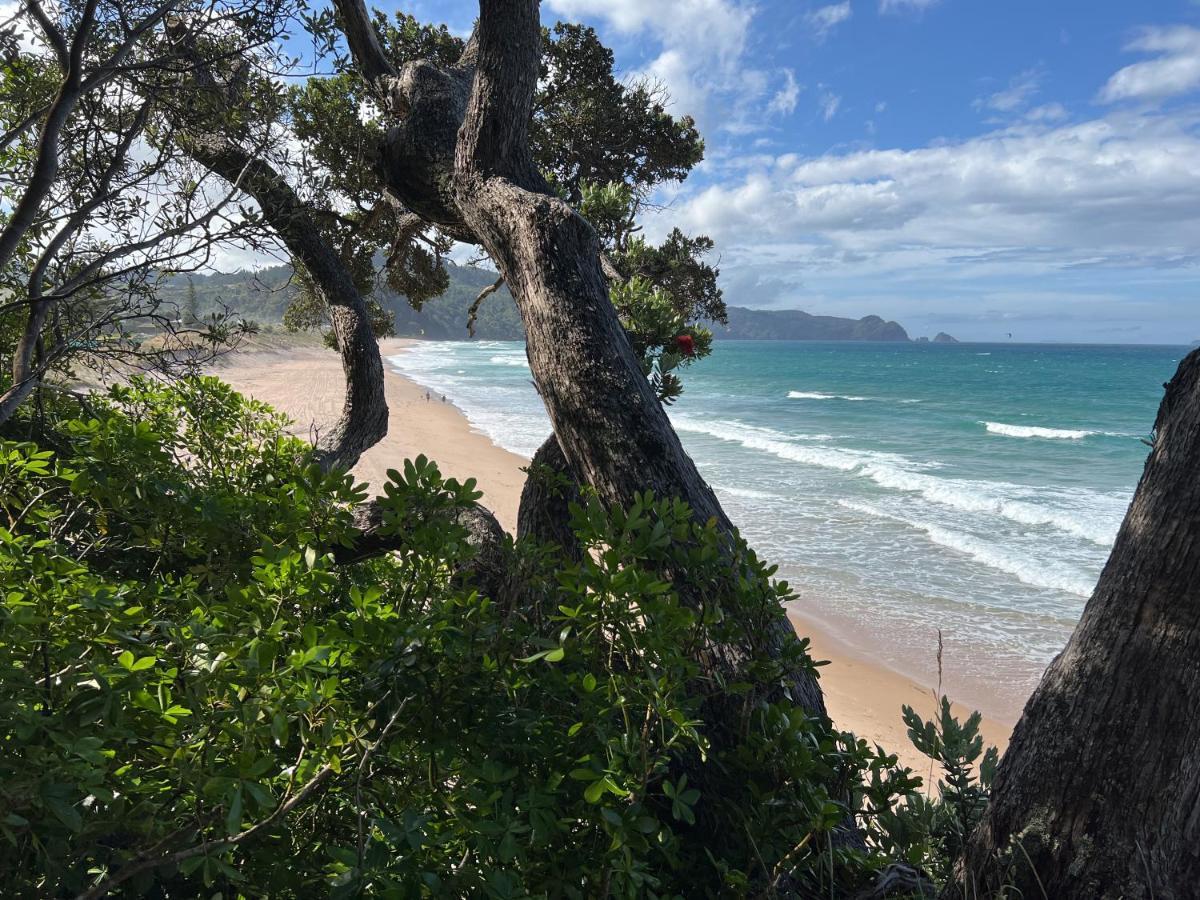 Oceana Heights Paradise - Beautiful 2 Bdrm Self Contained Apartment Tairua Esterno foto