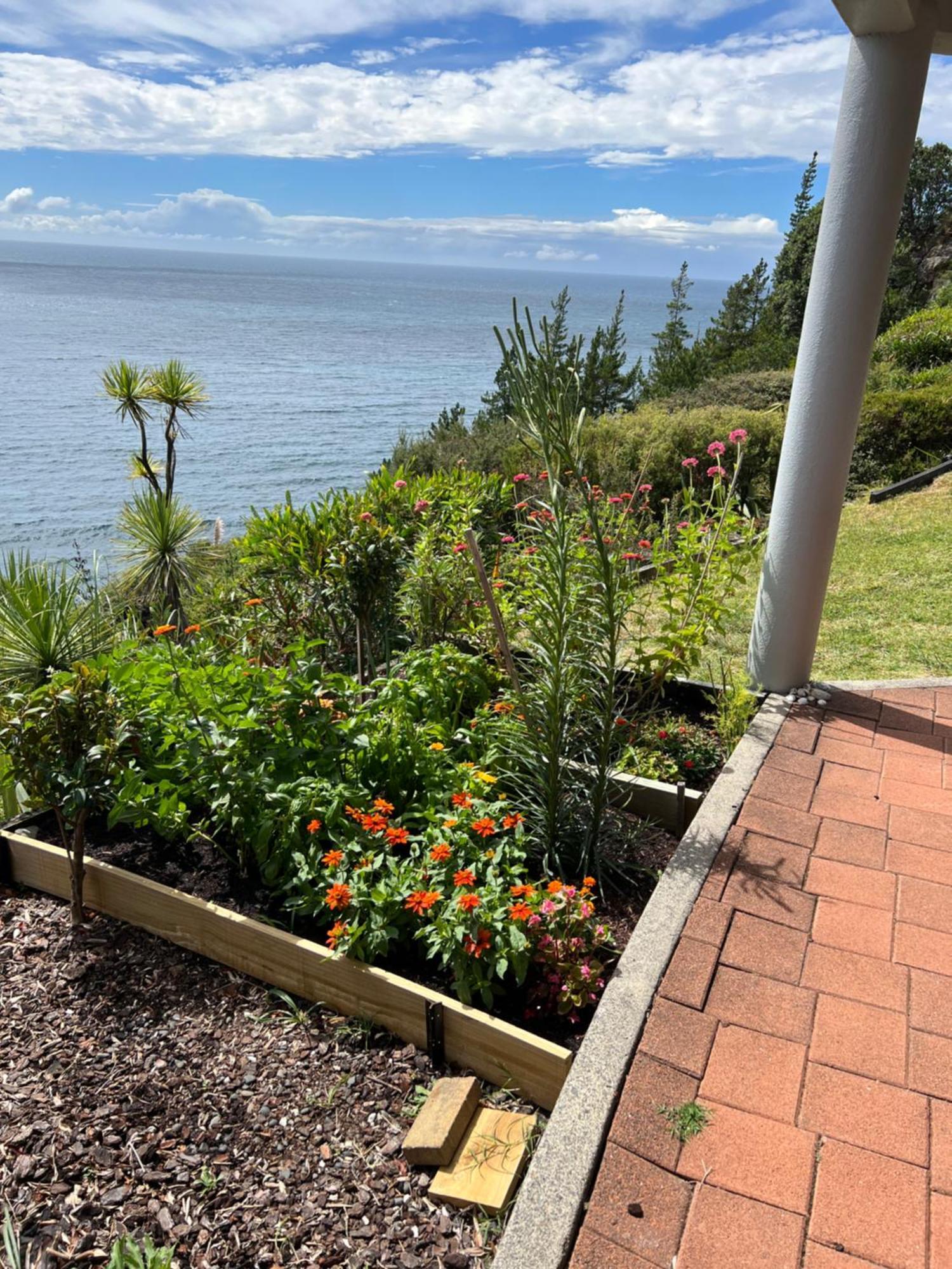 Oceana Heights Paradise - Beautiful 2 Bdrm Self Contained Apartment Tairua Esterno foto